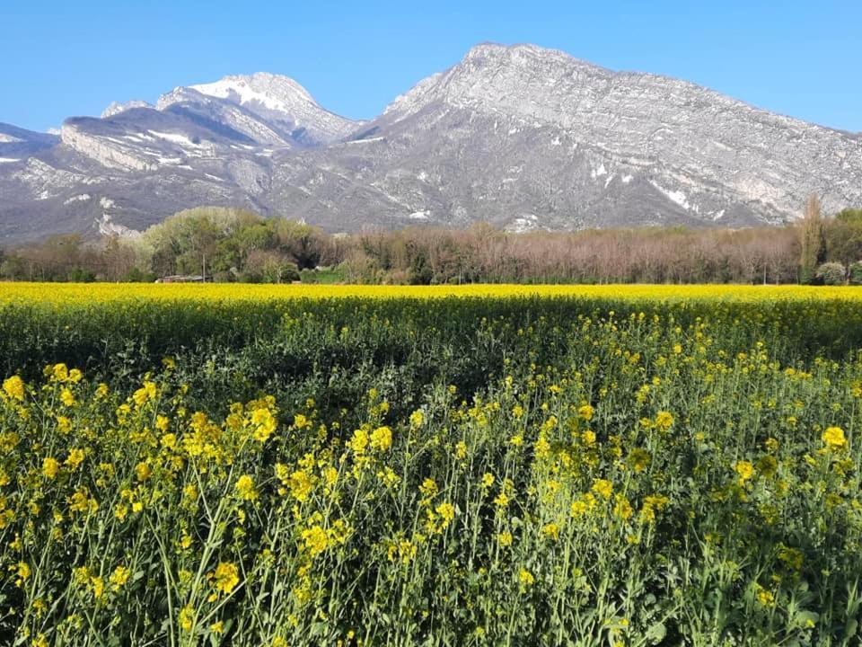 Les Champs Dores Noyarey Exteriér fotografie